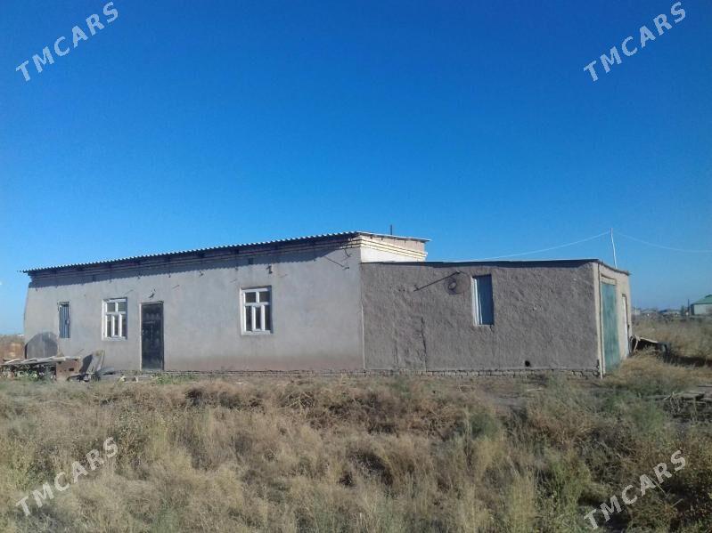 satlyk jay - Gurbansoltan Eje - img 1