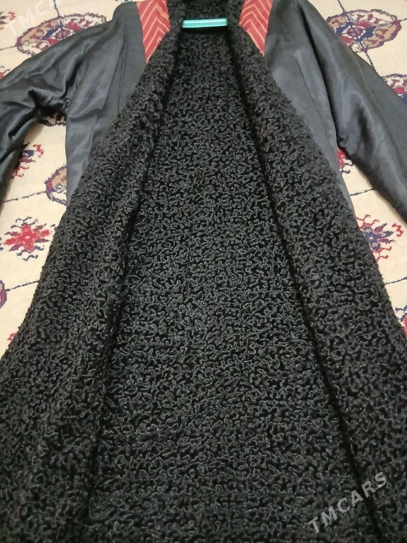 don - Туркменабат - img 1