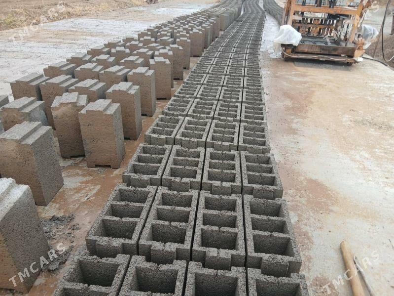 Biton kerpic - Мургап - img 1