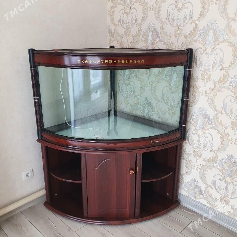 аквариум - Туркменабат - img 1