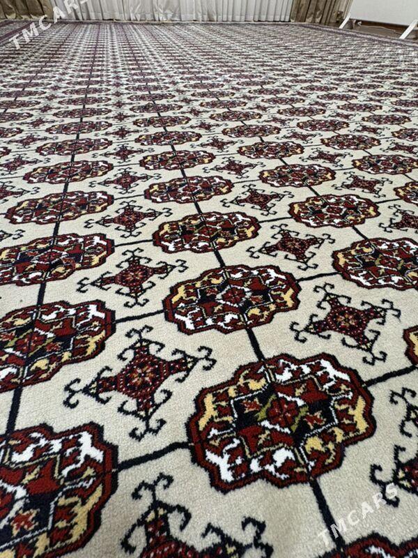 Haly - Ашхабад - img 1