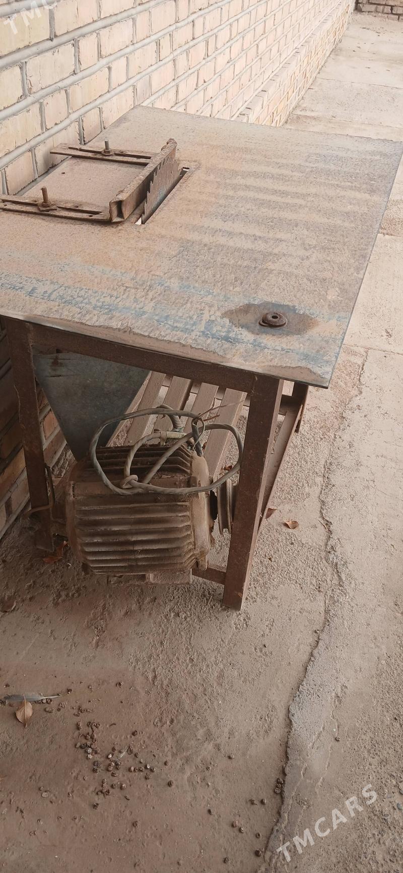 agaç kesyan - Ýolöten - img 1