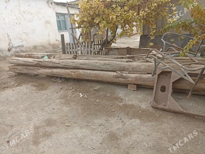 agaç polluk naw agaçlar - Байрамали - img 1