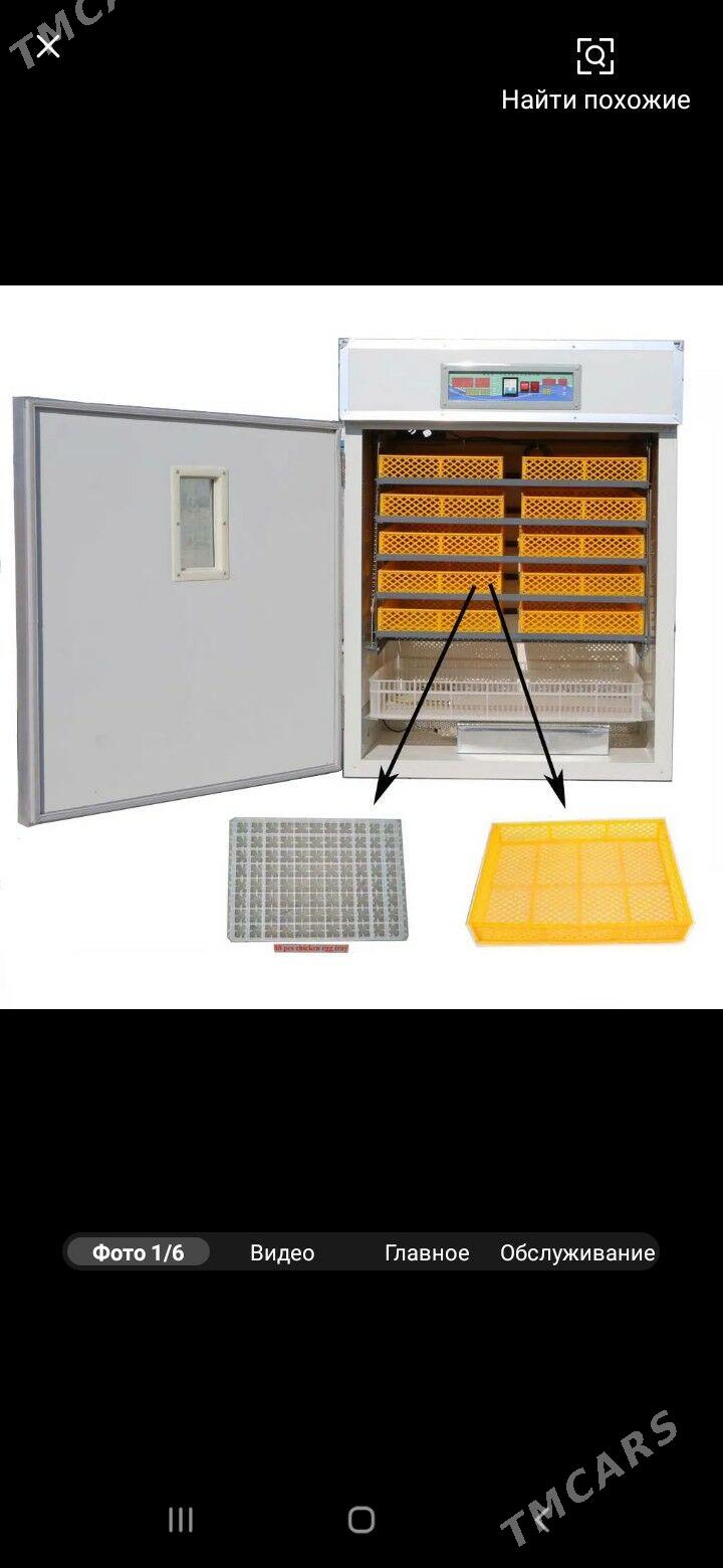 inkubator 1056 инкубатор 1056 - Türkmenabat - img 1