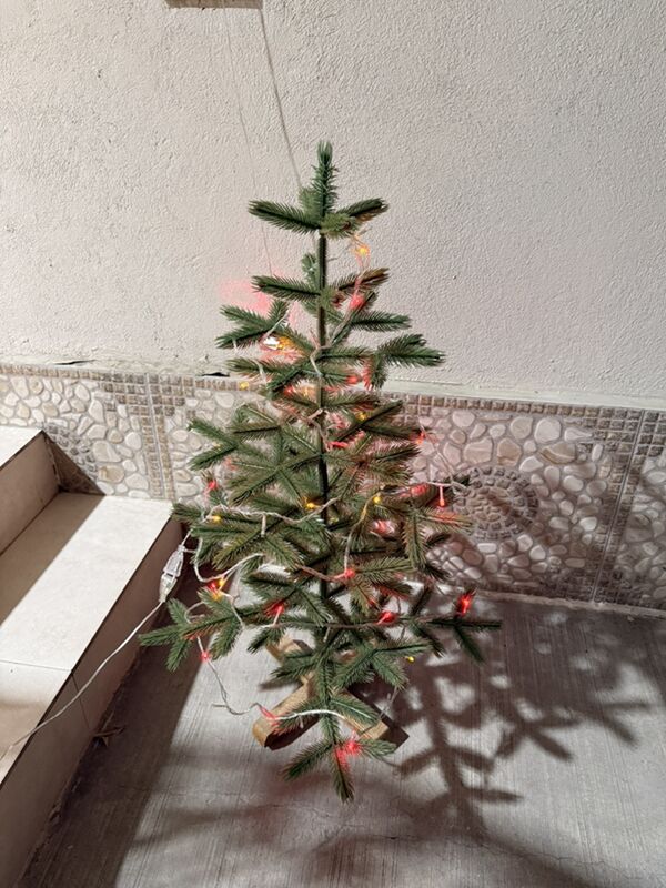 Taze yyl Yolka - Хитровка - img 1