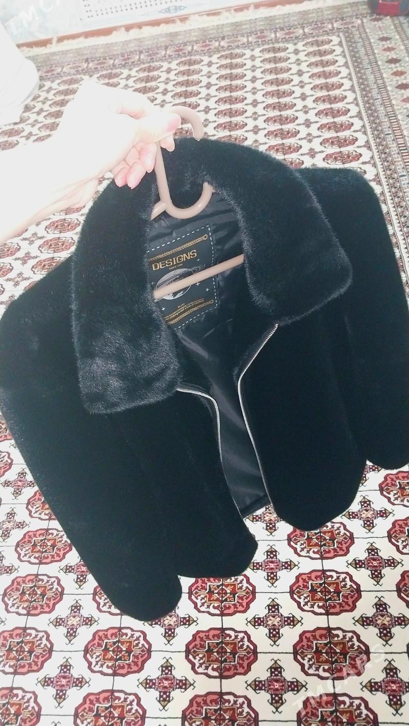 Şuba - Дашогуз - img 1