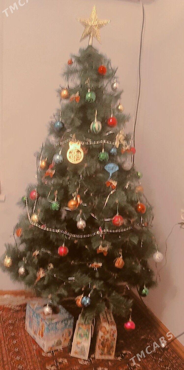 ёлка arça - Türkmenbaşy - img 1