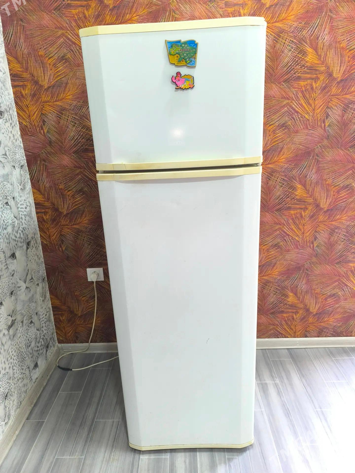 Холодильник Holodilnik - Багир - img 1