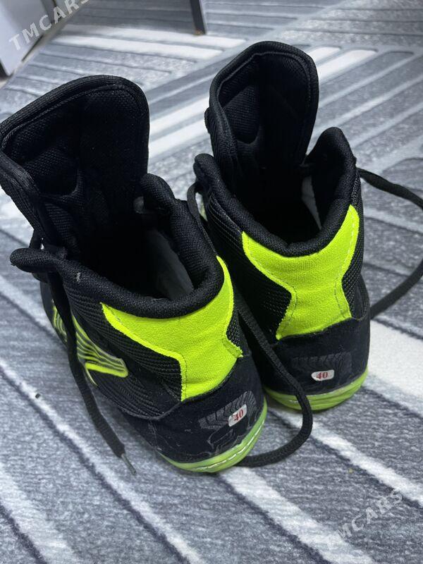 barsofka - Daşoguz - img 1