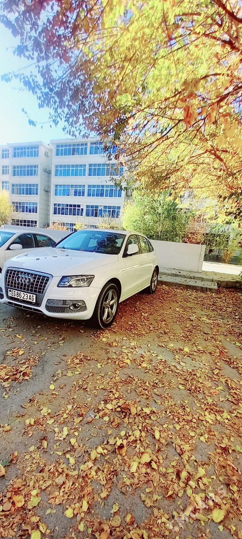 Audi Q5 2013 - 330 000 TMT - Ашхабад - img 1