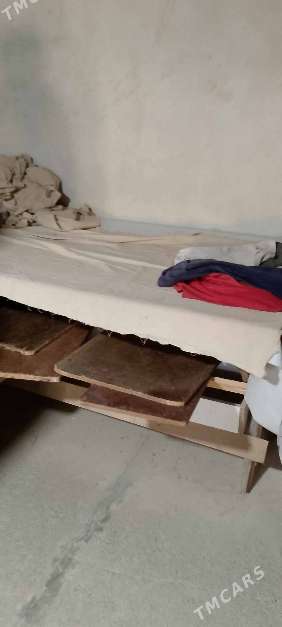 Arende tamdyr - Ak bugdaý etraby - img 1