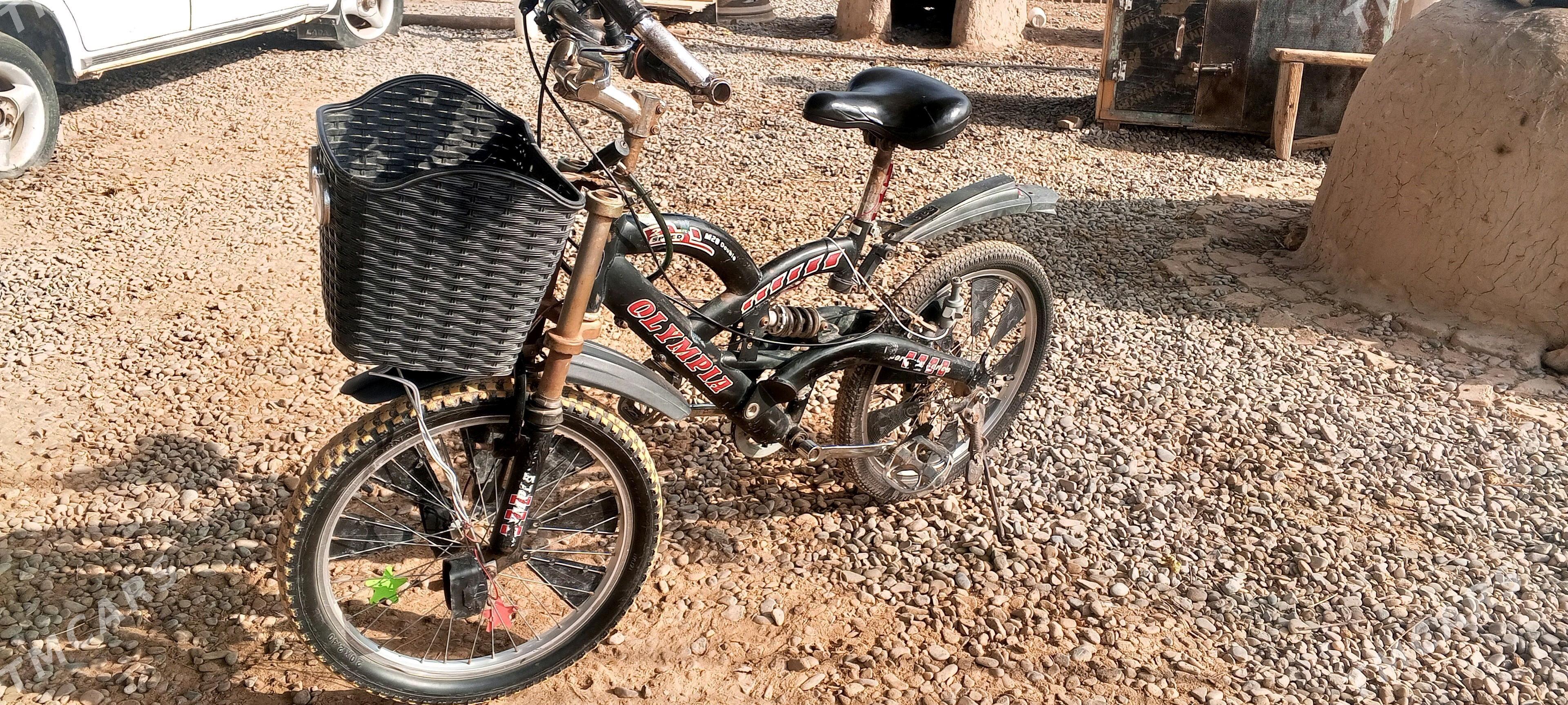 welik - Murgap - img 1