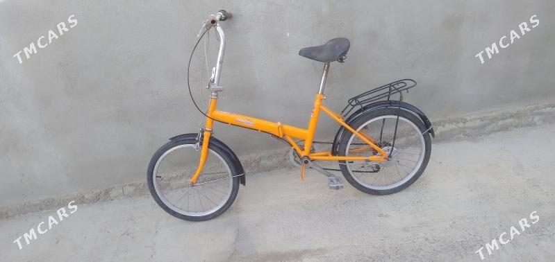 Tigir - Bagyr - img 1