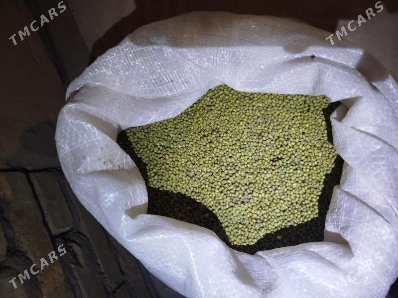 màś - Дарганата - img 1