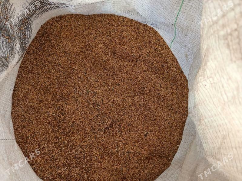 yorunja tohum - Бабадайхан - img 1