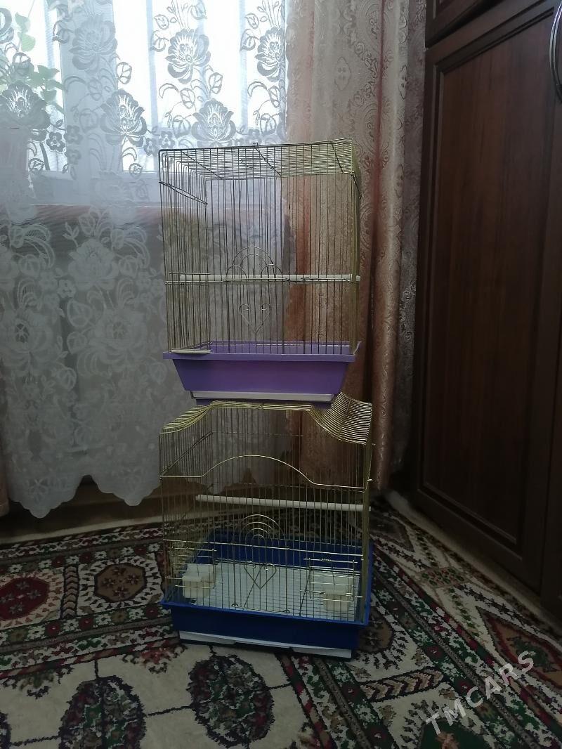 Клетки - Ашхабад - img 1