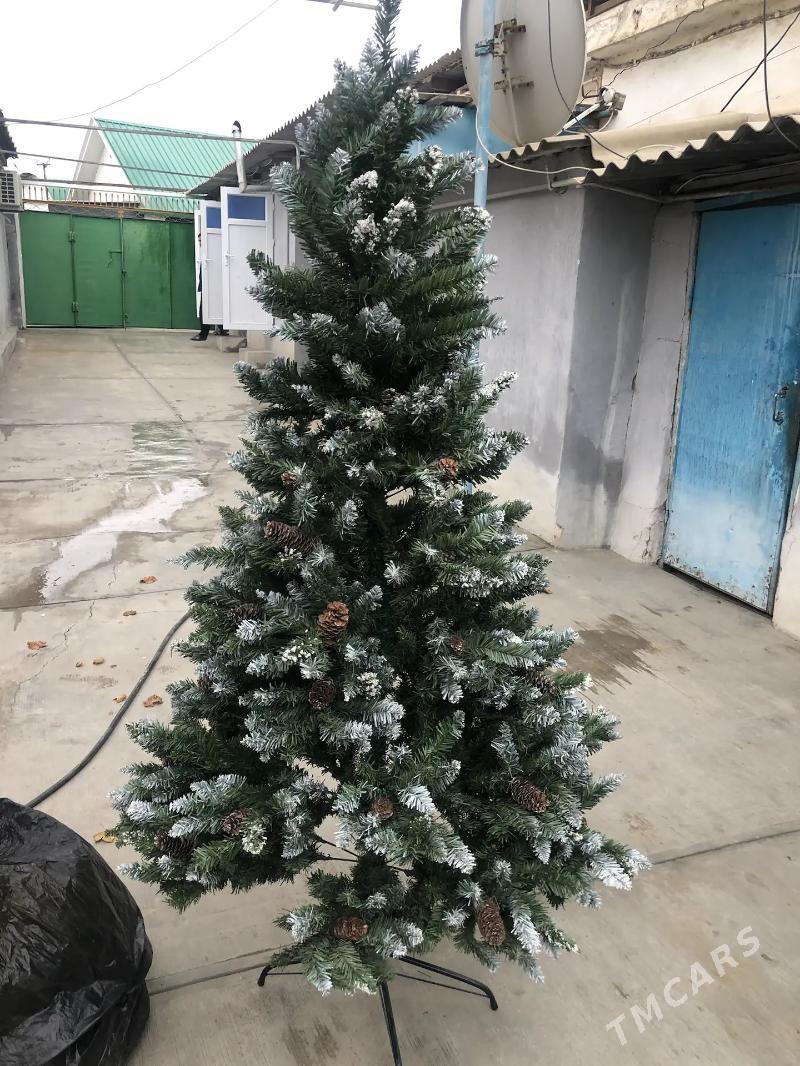 yolka - Хитровка - img 1