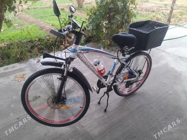 Tigir - Gurtly - img 1