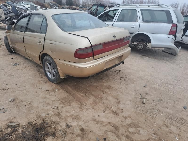 karona 100 TMT - Губадаг - img 1