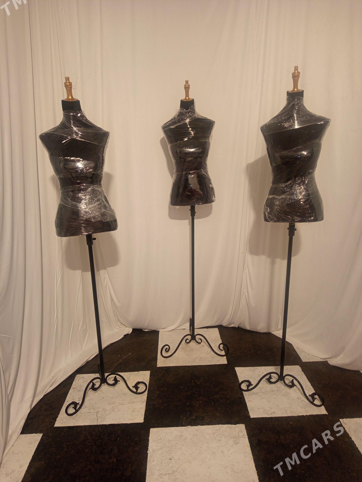 Manken nagysly - Murgap - img 1