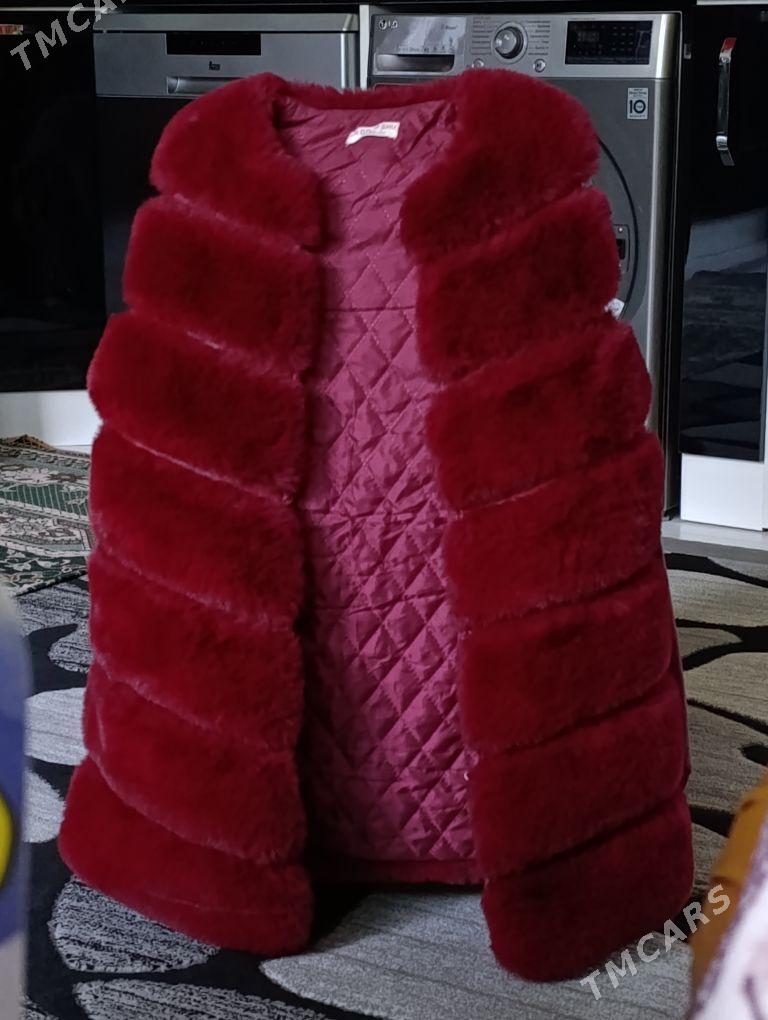 Şuba - Täze zaman - img 1