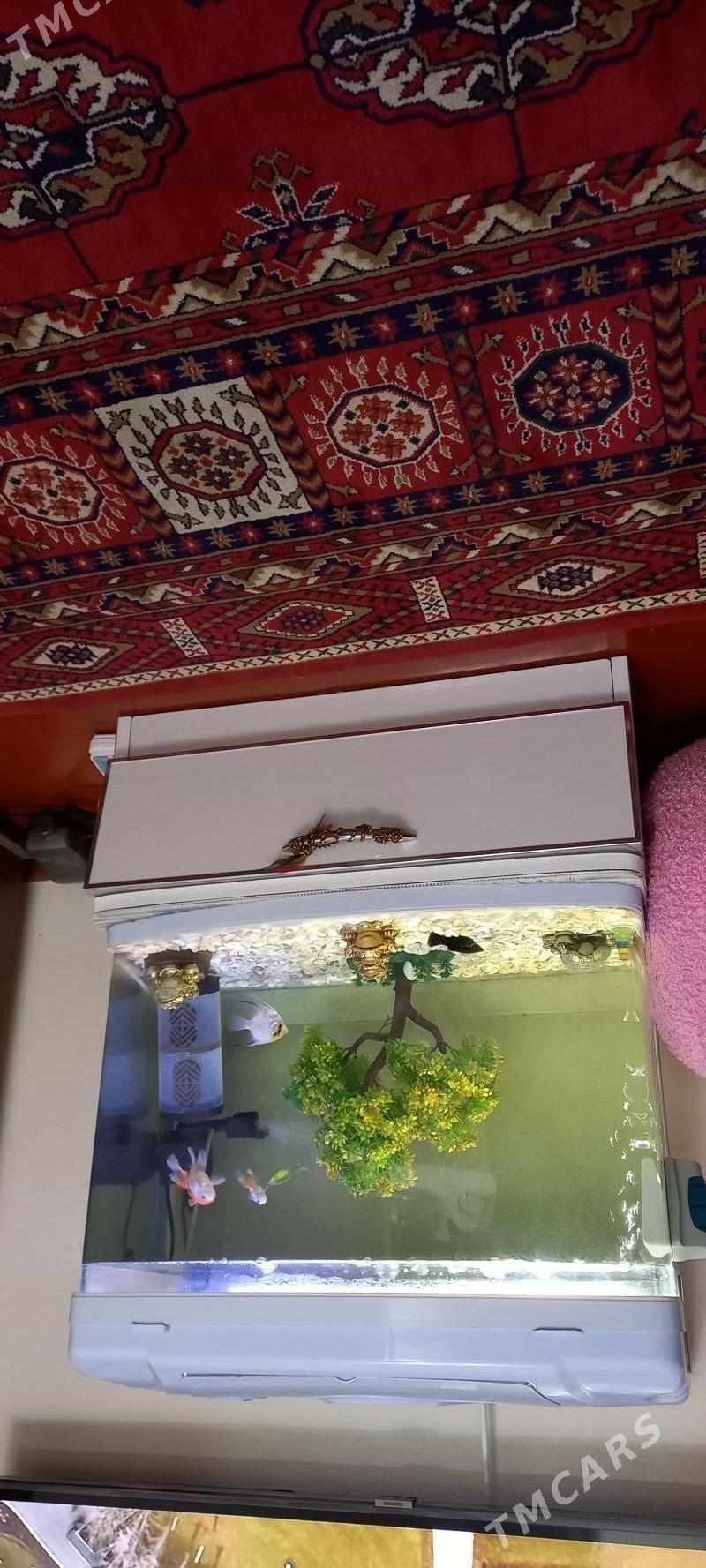 АКВАРИУМ - 30 mkr - img 1