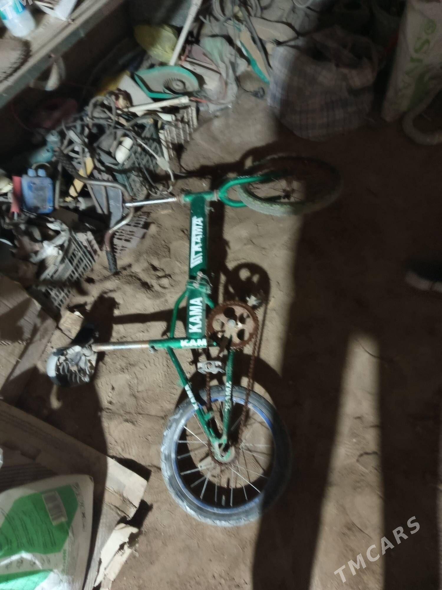 kama - Daşoguz - img 1