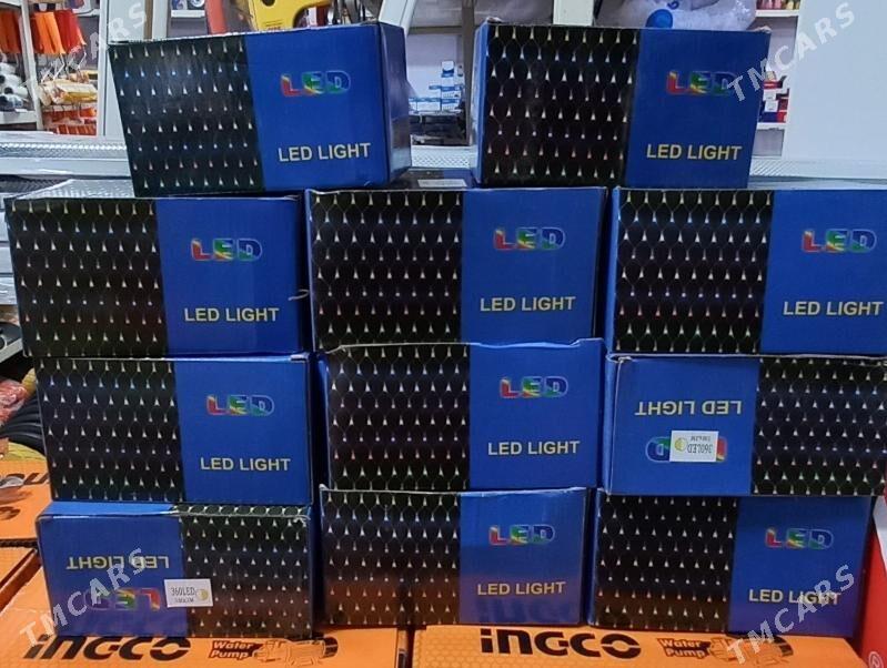 GRILYANC CYRA - Aşgabat - img 1