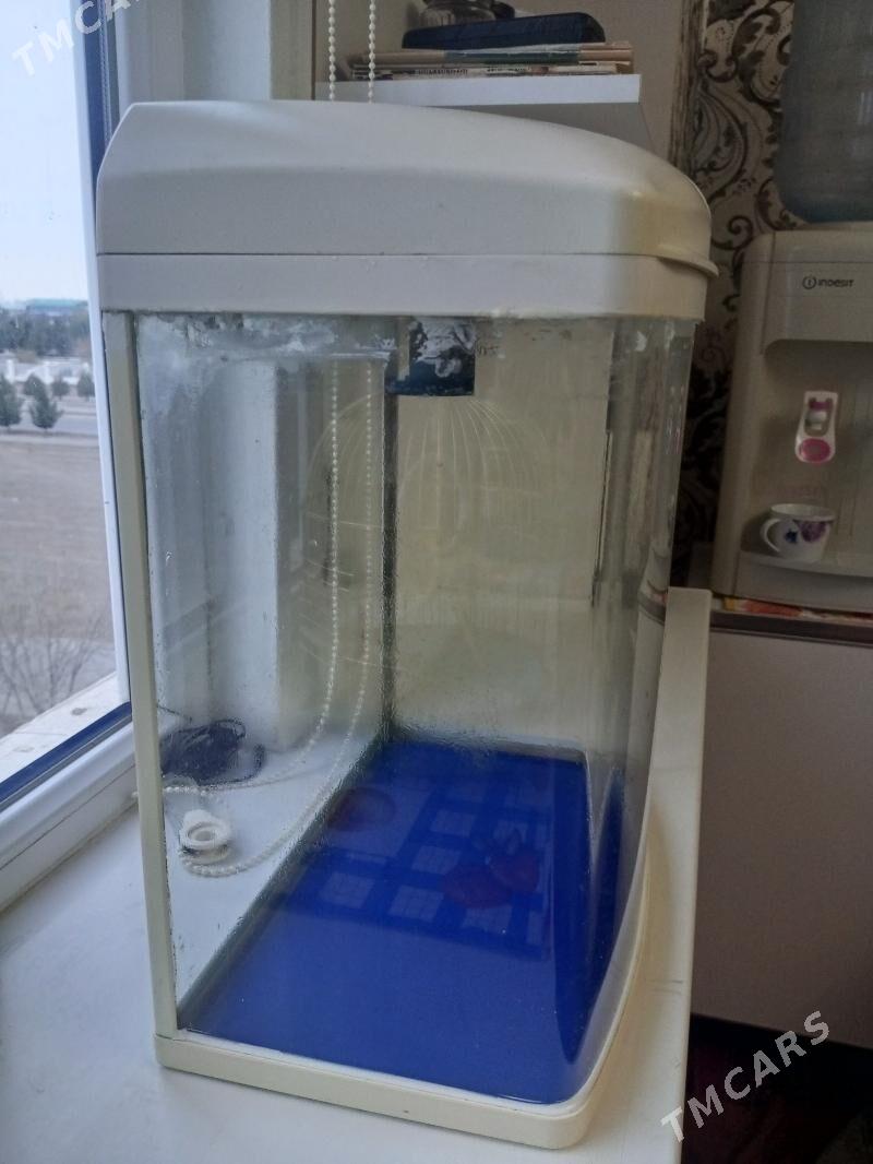 Akwarium - Büzmeýin GRES - img 1