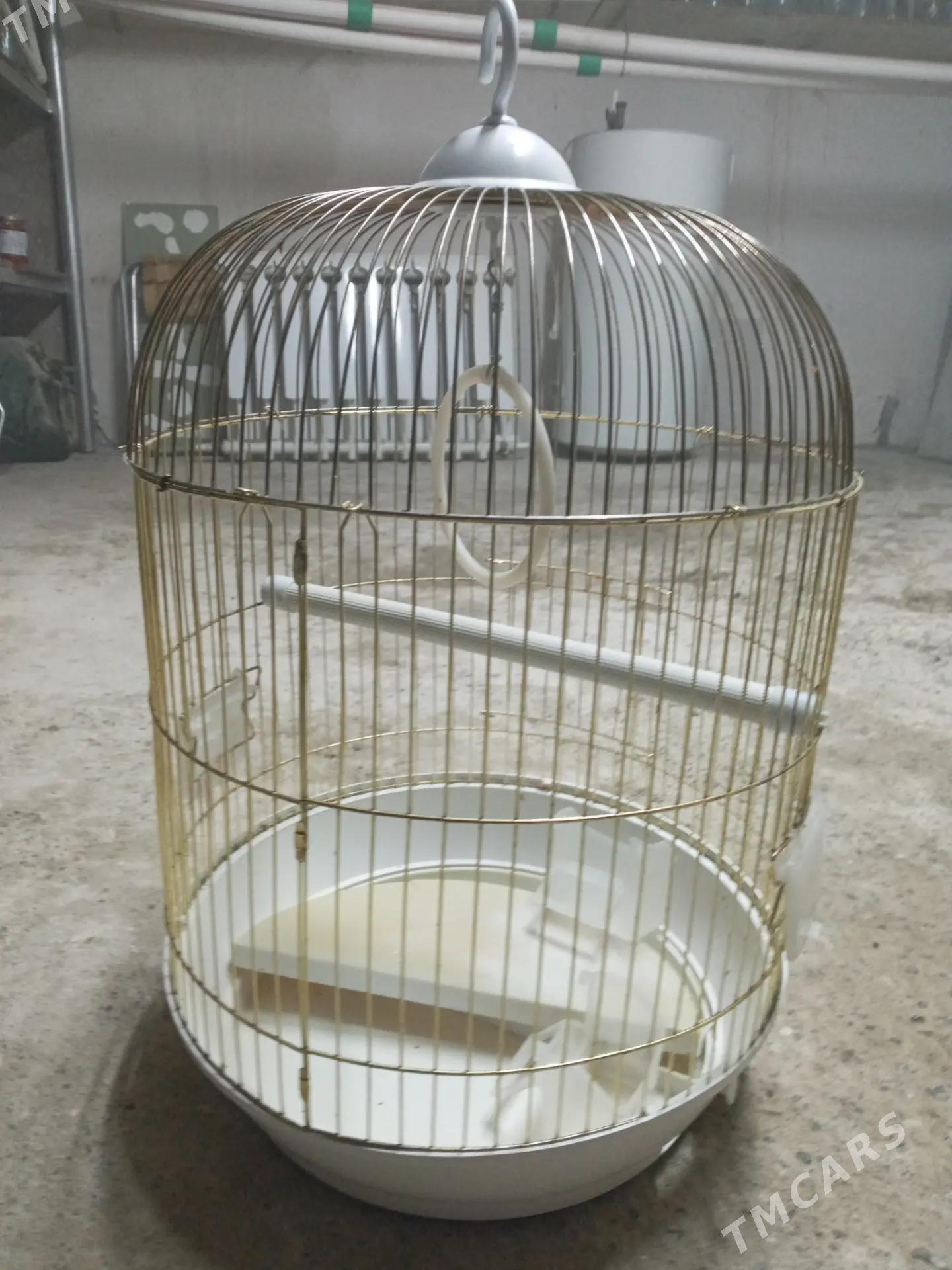 Guş kletka - Бузмеин ГРЭС - img 1