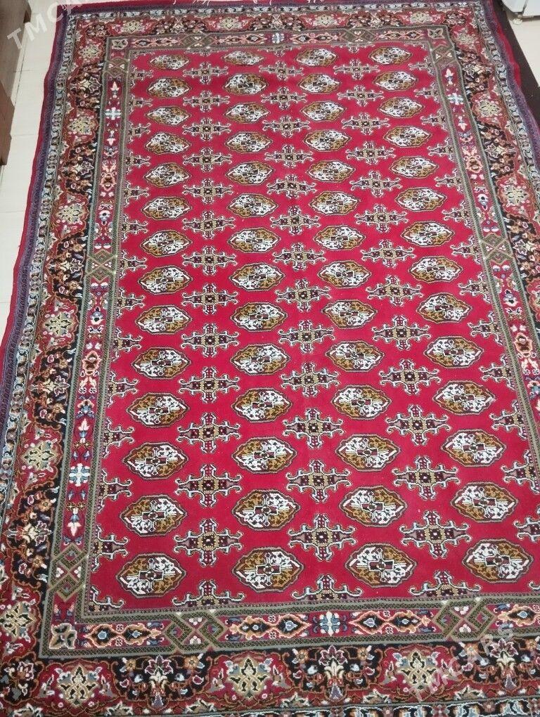 Haly - Ашхабад - img 1