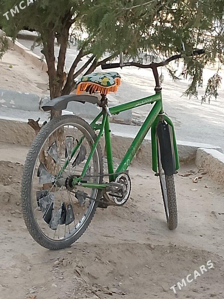 tigir - Gyzylarbat - img 1