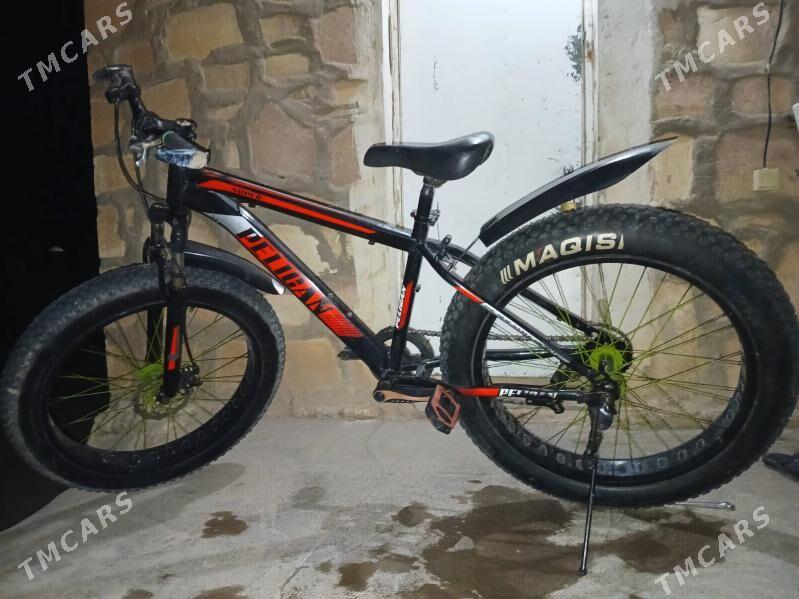 Peligan - Kerki - img 1