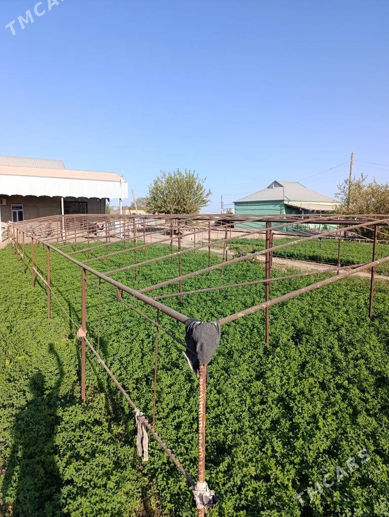 parnik Teplissa - Murgap - img 1