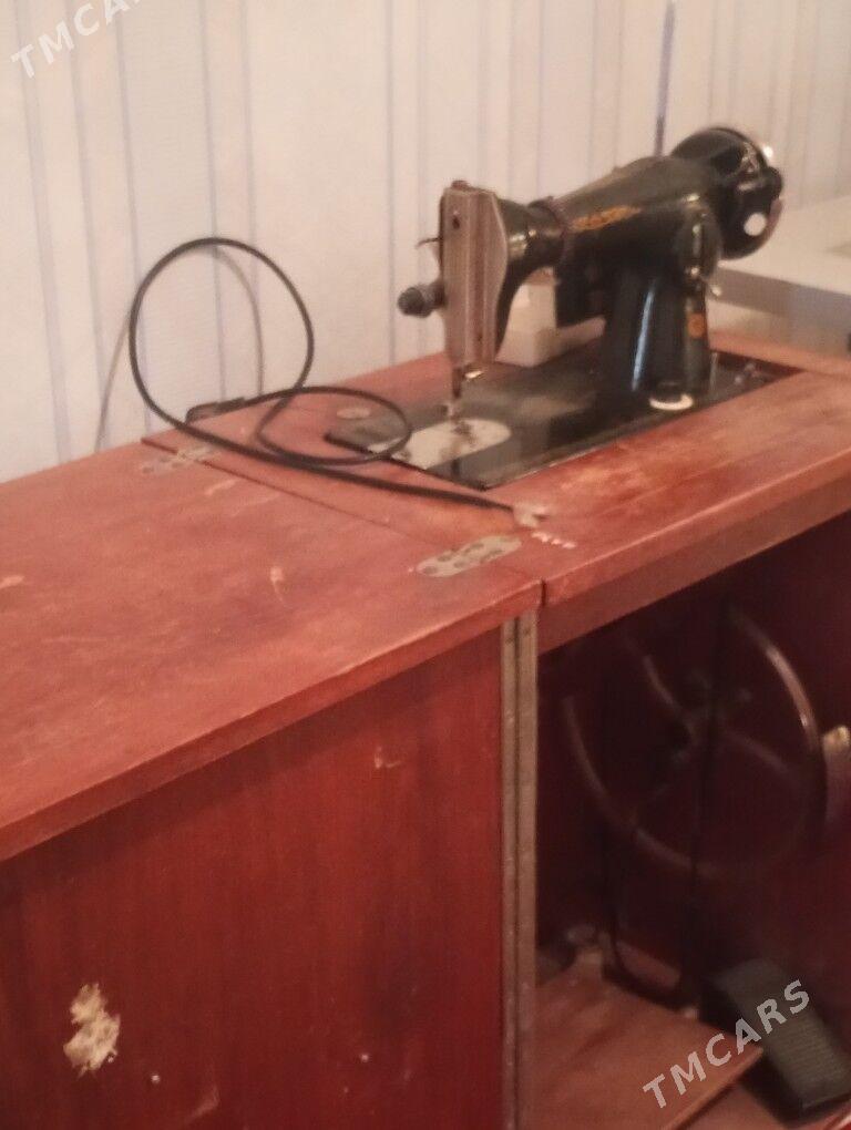 Tikin maşyn Gara kelle - Sakarçäge - img 1