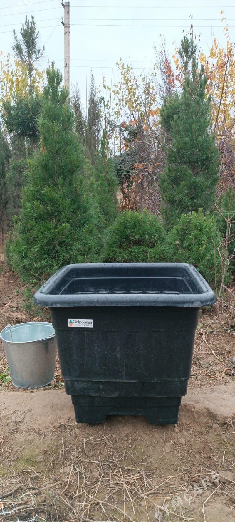 Bag gorşok. Горшок - Ашхабад - img 1