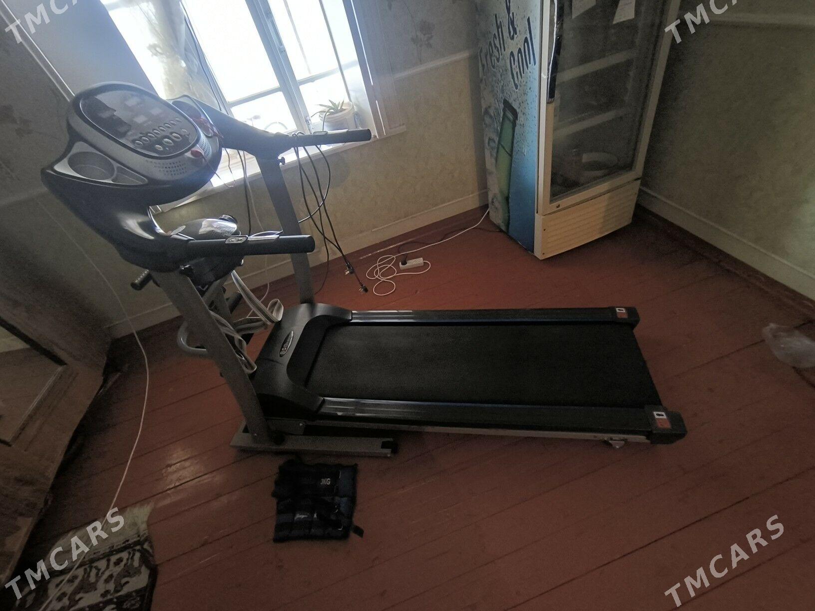 bogaboy . ylganyan - Sakarçäge - img 1