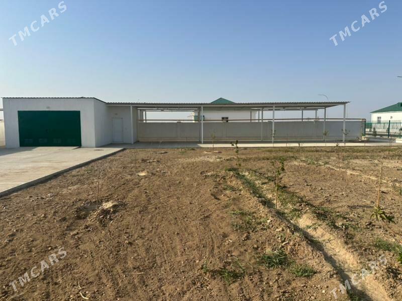 Korcay 5 kom - Änew - img 1