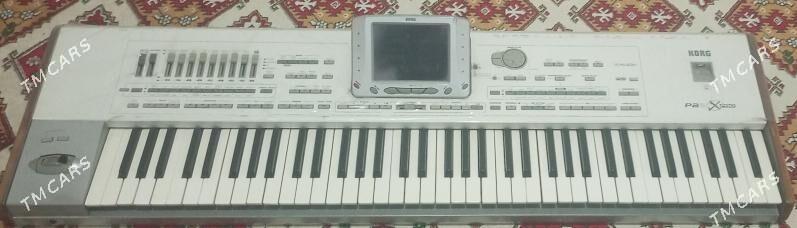 KORG-PA2 - Tejen - img 1