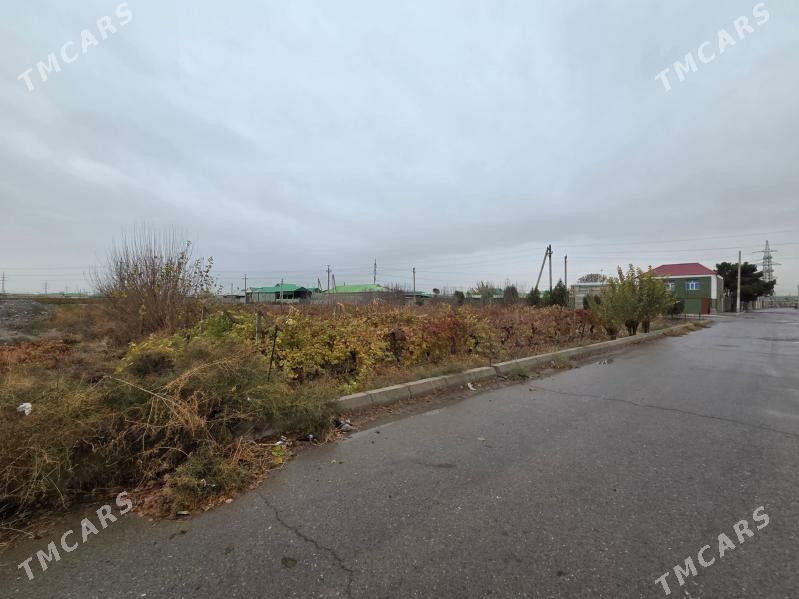 mellek ỳer - Büzmeýin - img 1