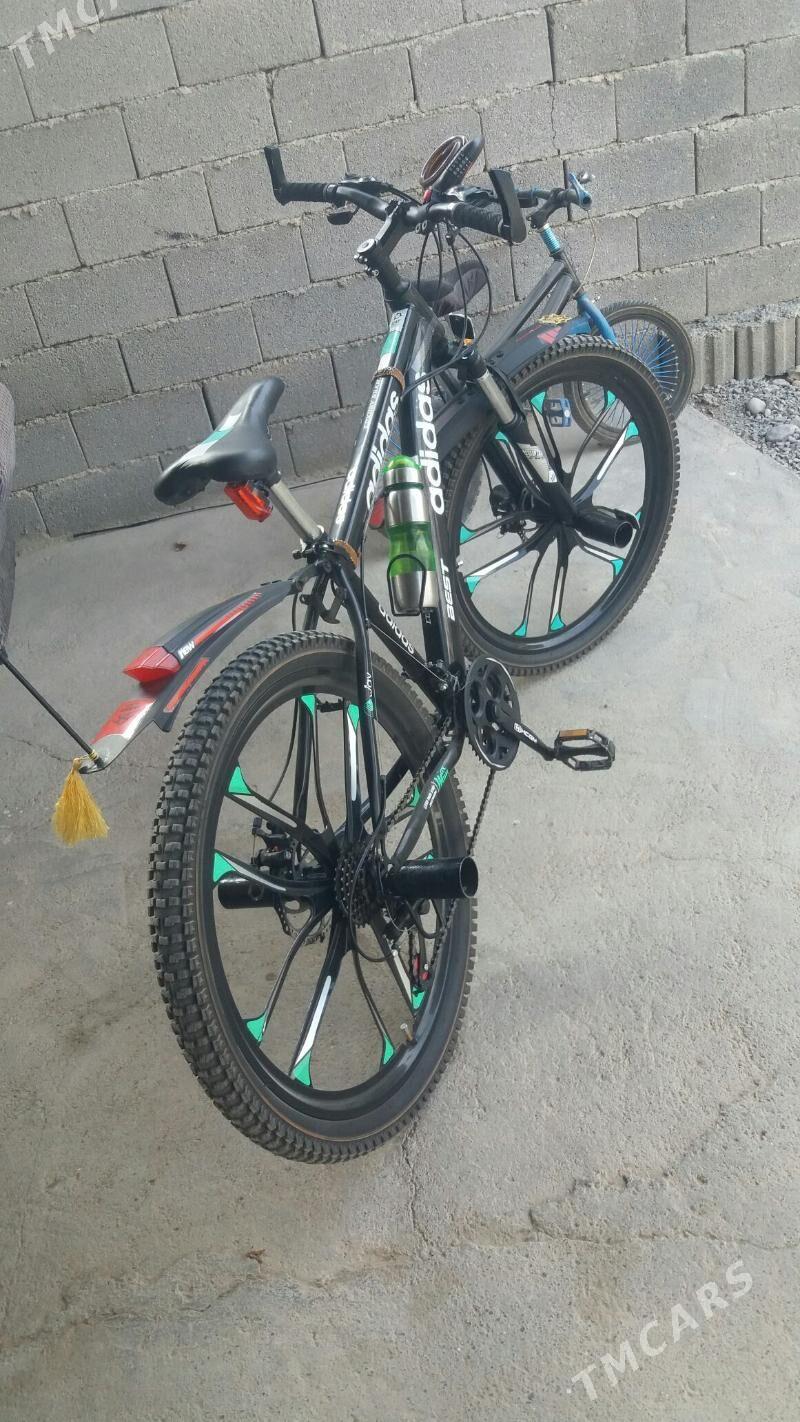 tigir - Büzmeýin GRES - img 1