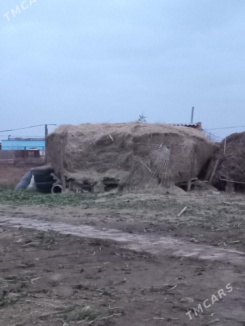 От саман - Байрамали - img 1