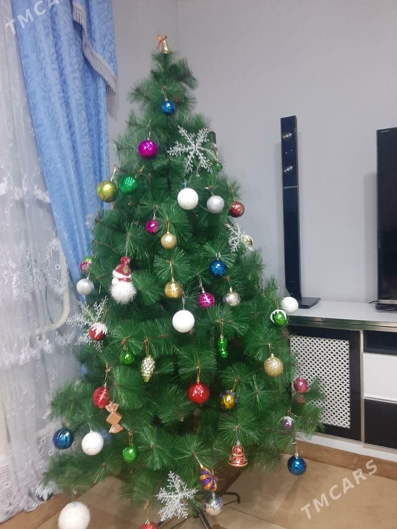 Taze yyl arçasy - Ak bugdaý etraby - img 1