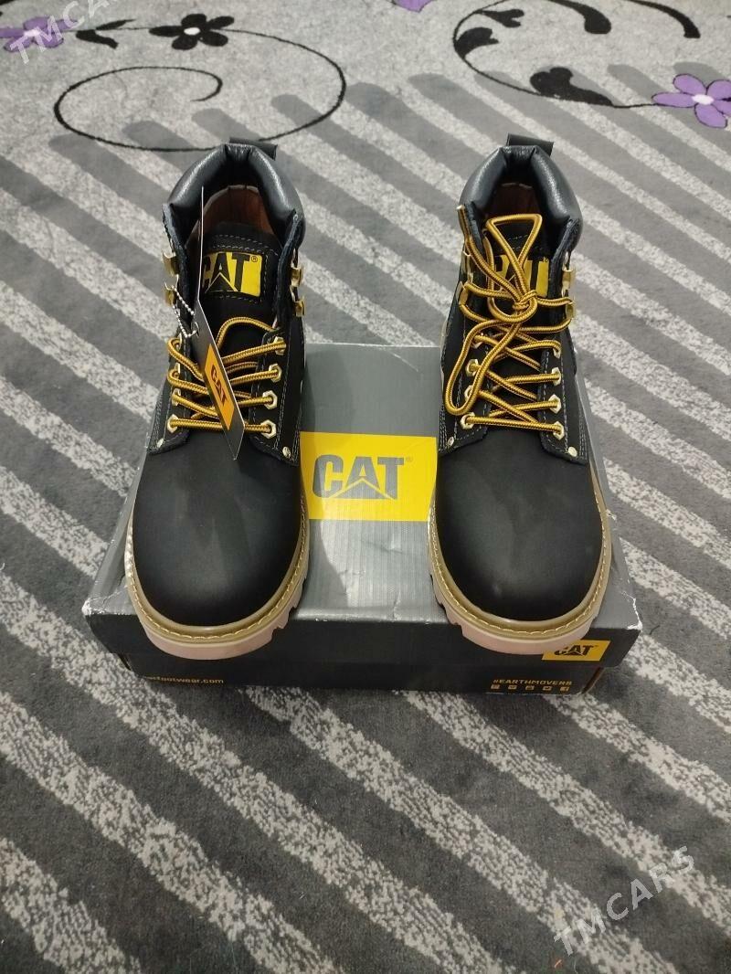 Boti cat firma - Ашхабад - img 1