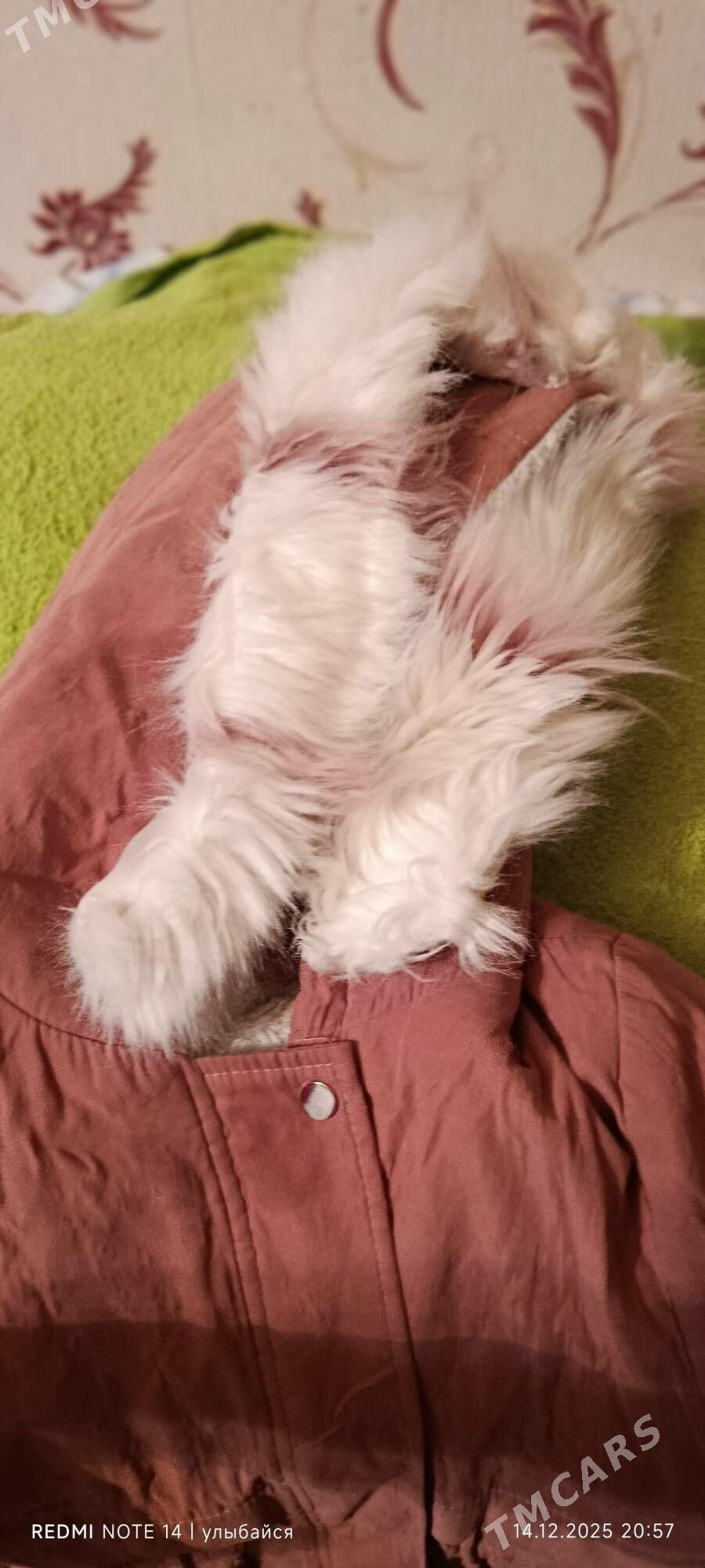 Куртка - Мары - img 1