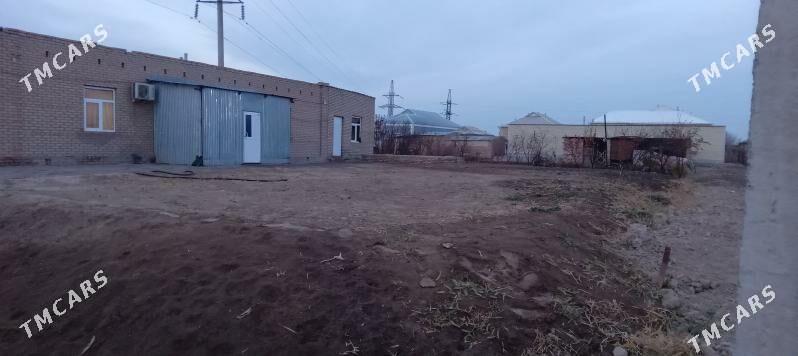 Mellek - Мары - img 1