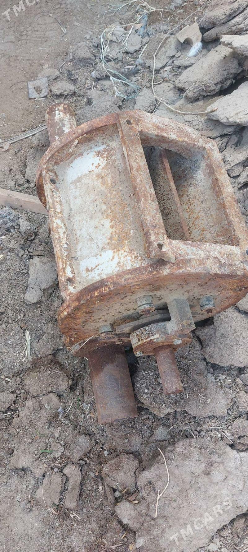 Un Haraz - Sakarçäge - img 1