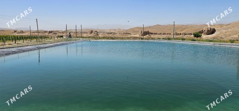 HOWUZ MEMBRAN DAMJA SUWLAMA - Кака - img 1