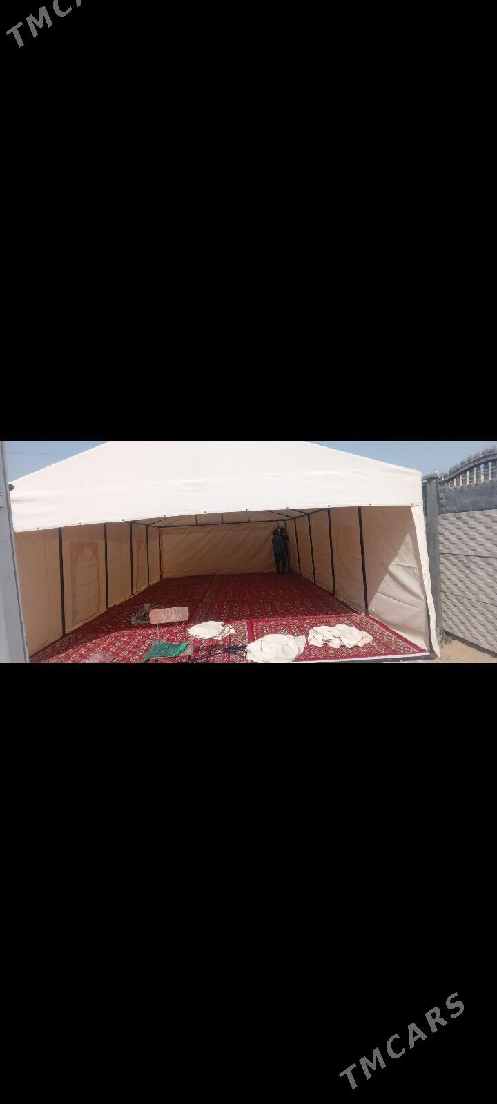 TOÝ PALATA - Sakarçäge - img 1