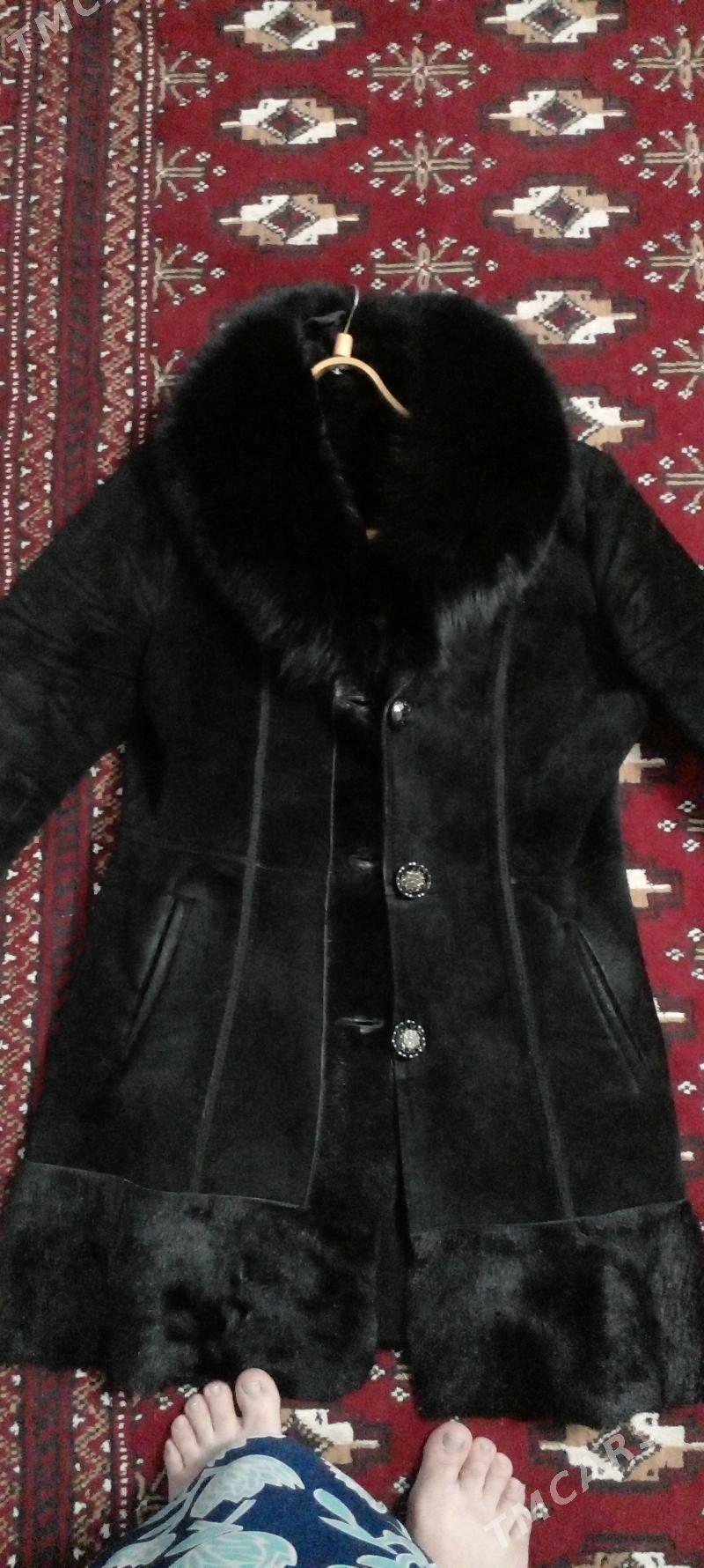 palto - Daşoguz - img 1